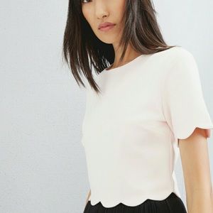 Ted Baker SIPPAH scallop trim crop top